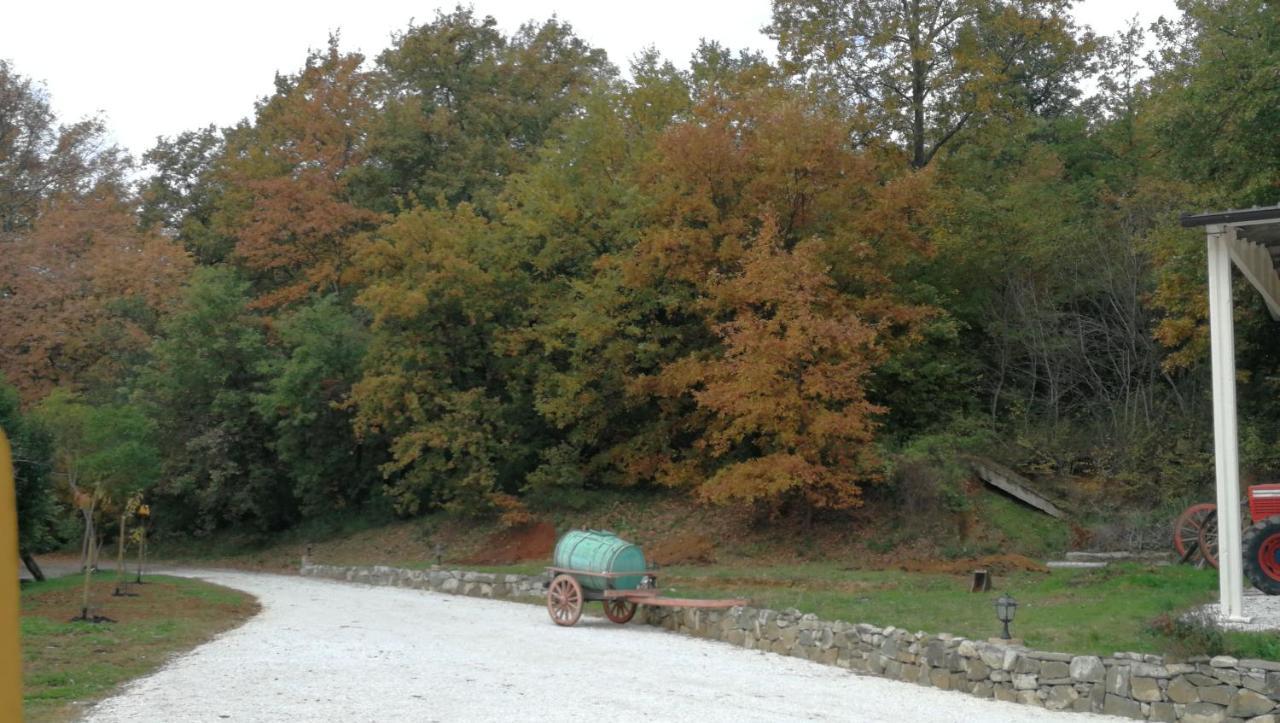 Ferienwohnung Az.Agricola Agriturismo La Locanda Di Lann Fucecchio Exterior foto
