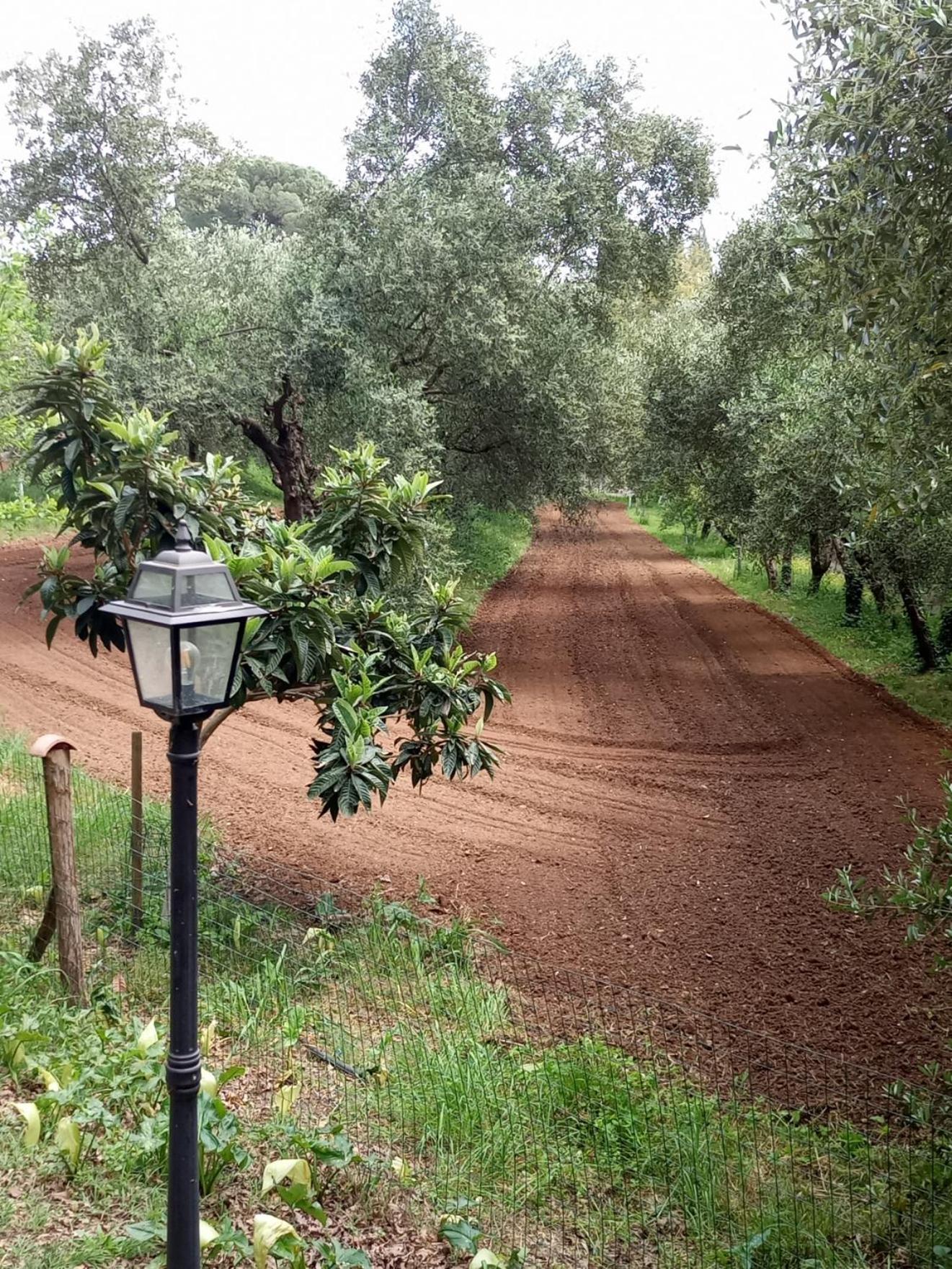 Ferienwohnung Az.Agricola Agriturismo La Locanda Di Lann Fucecchio Exterior foto